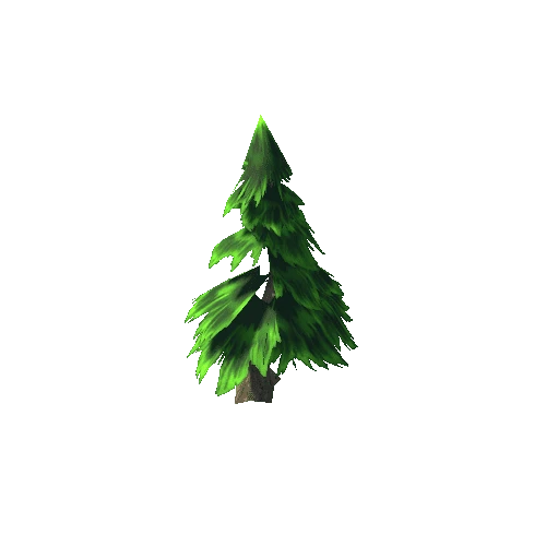 Pine 2